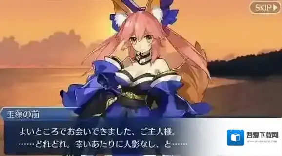 FateGo从者