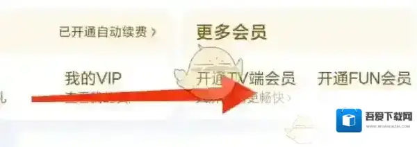 爱奇艺视频开通