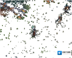 决战平安京限定皮肤