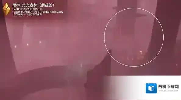 光遇官方正版红蜡烛