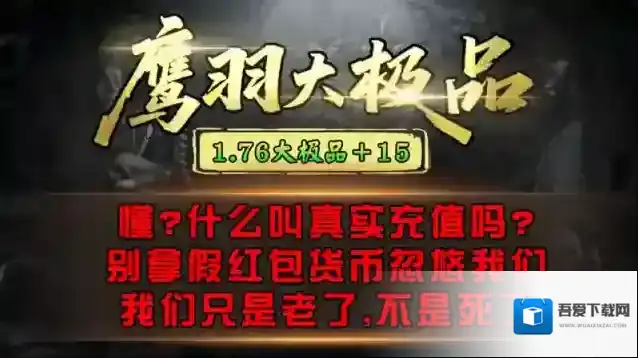 鹰羽76大极品金币