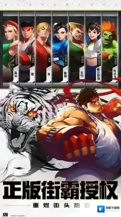 街霸对决格斗家