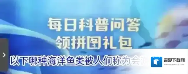 以下哪种海洋鱼类被人们称为会游泳的头