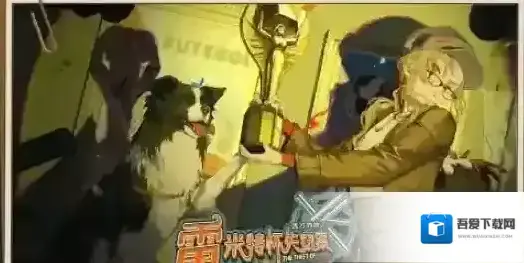 重返未来1999丢失的字符答案