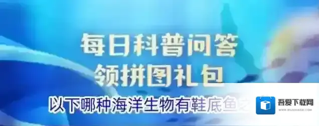 以下哪种海洋生物有鞋底鱼之称