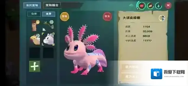 创造与魔法饲料