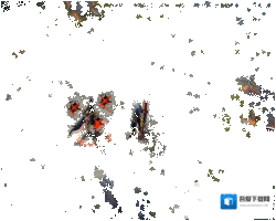 决战平安京物理伤害