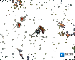 决战平安京逐星