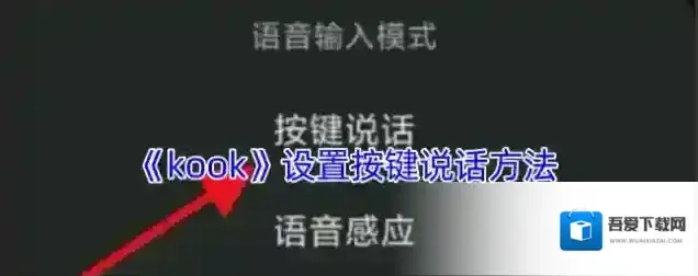 kook语音设置