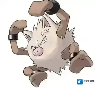 口袋妖怪究极日月火暴猴怎么配招 火暴猴性格及技能配招技巧