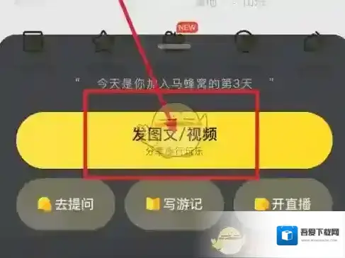 马蜂窝旅游格式