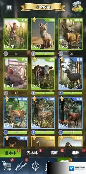 疯狂神射手能力