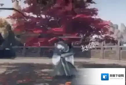 下一站江湖Ⅱ对手