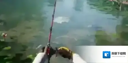 欢乐钓鱼大师钓鱼