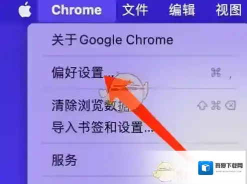 谷歌浏览器信息