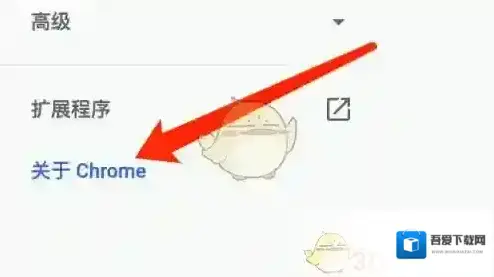谷歌浏览器偏好设置
