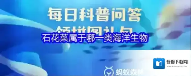 石花菜属于哪一类海洋生物