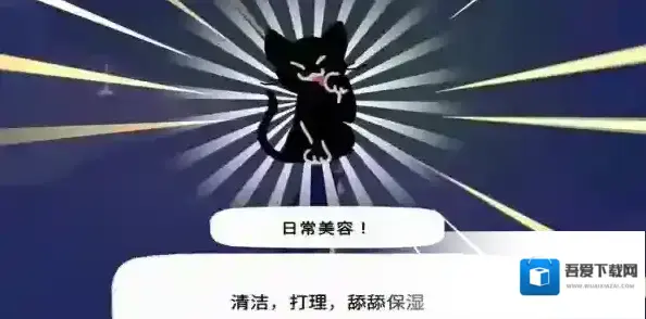 小猫咪大城市动作