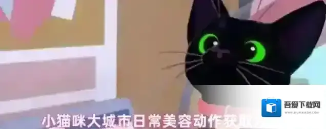 小猫咪大城市小猫咪