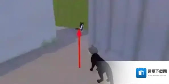 小猫咪大城市就可以