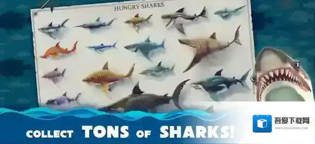 饥饿鲨世界国际服鲨鱼