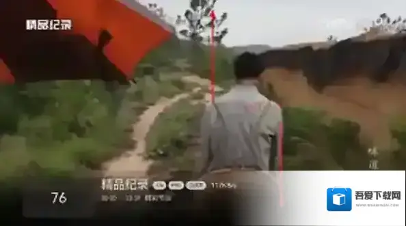 小飞电视可以看到