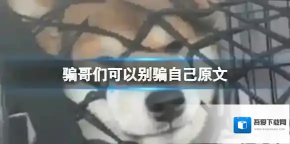 骗哥们可以别骗自己原文 骗哥们可以别把你自己也骗到了就行