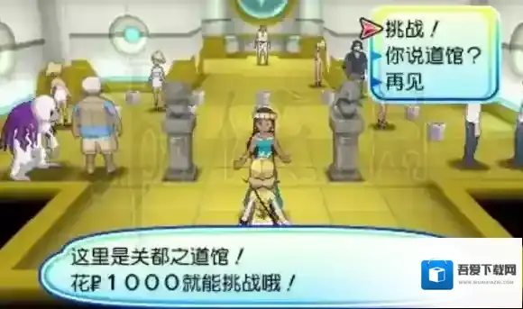 口袋妖怪日月道馆