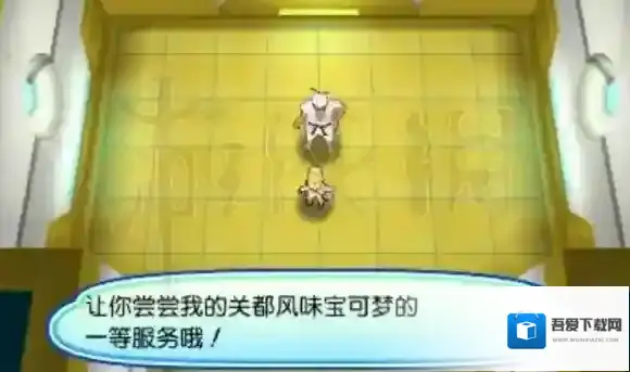 口袋妖怪日月大姐姐