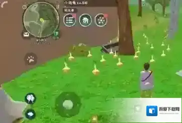 创造与魔法烹饪