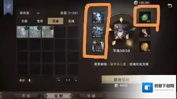 猎魂觉醒猎魂升星攻略介绍 猎魂怎么升星