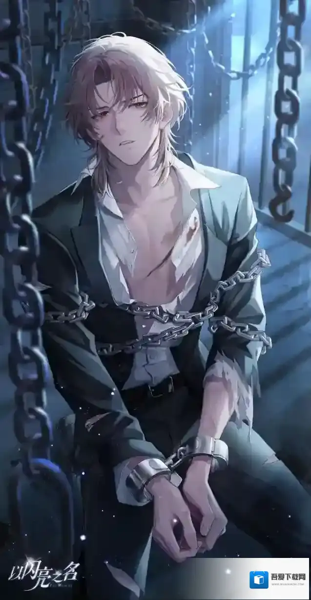 以闪亮之名之名