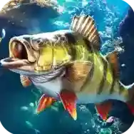 欢乐钓鱼大师欢乐钓鱼大师