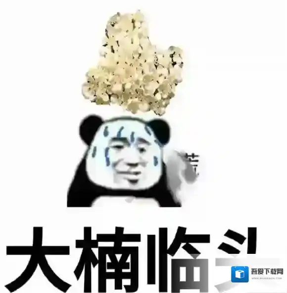 梗百科石楠