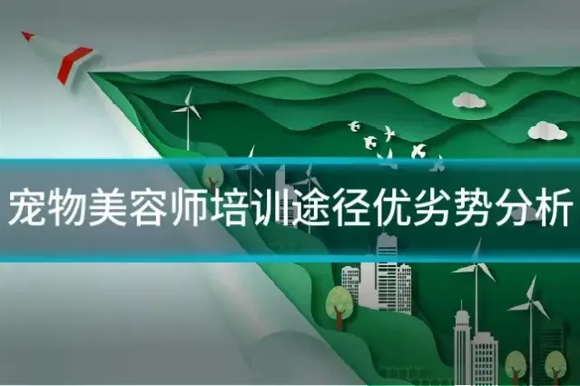宠物美容师培训途径优劣势分析