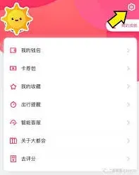 支付宝大都会