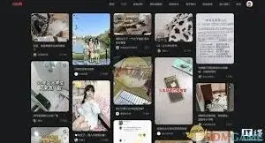 小红书网页登录方法技巧