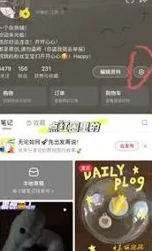 小红书收藏