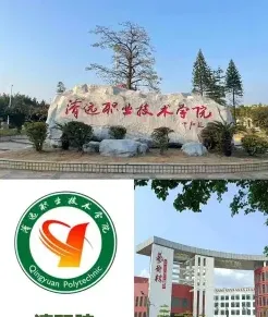 专业