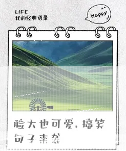 脸大