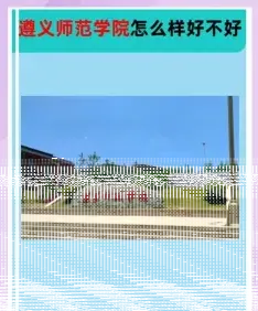 学校