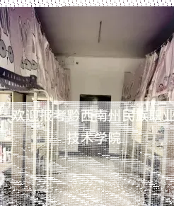 黔南