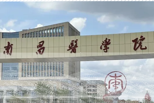 学校