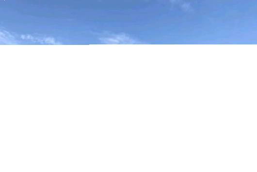 学校