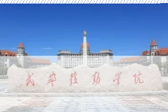 学院