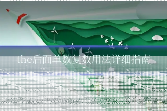 the后面单数复数用法详细指南