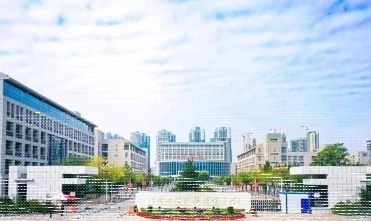 学校