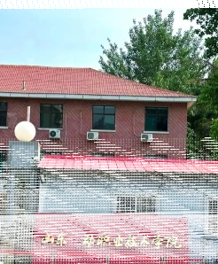 山东省