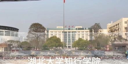 学院