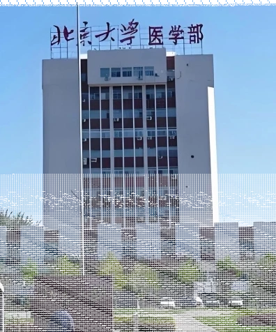 北京大学医学部